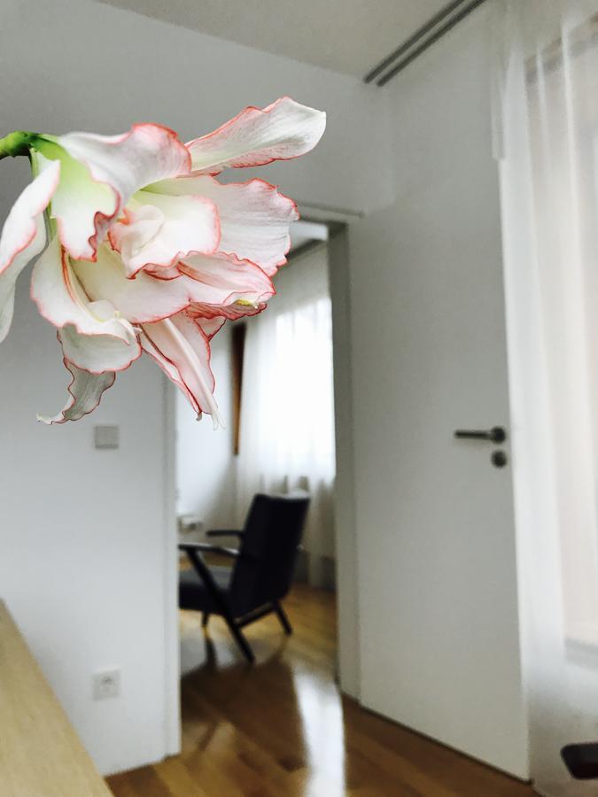 Design Apartment In Park Sofia Bagian luar foto